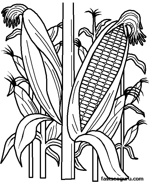 Printable vegetables Corn coloring page